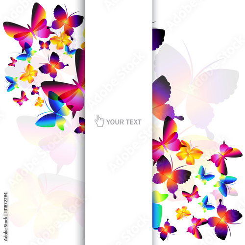 Fototapeta Colorful butterfly background