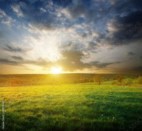 spring field of grass in Russia and sunset