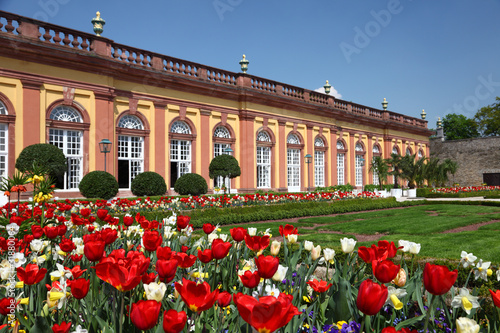Beautiful flowers in garden of castle Weilburg, Germany