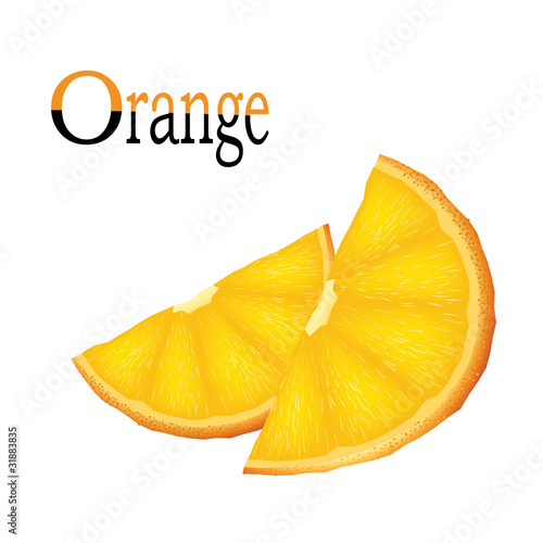 Vector slices of orange