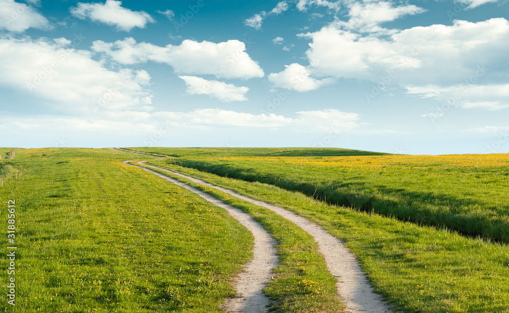 Obraz premium Country road through field