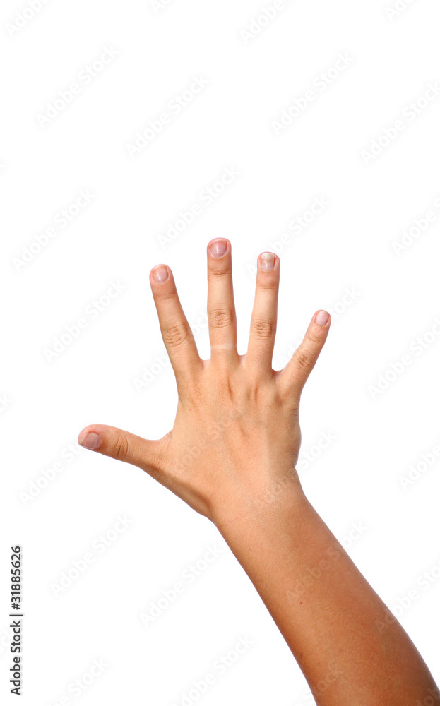 Isolated Five fingers female hand Isolated Five fingers female hand