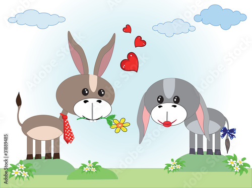 Two asses in love