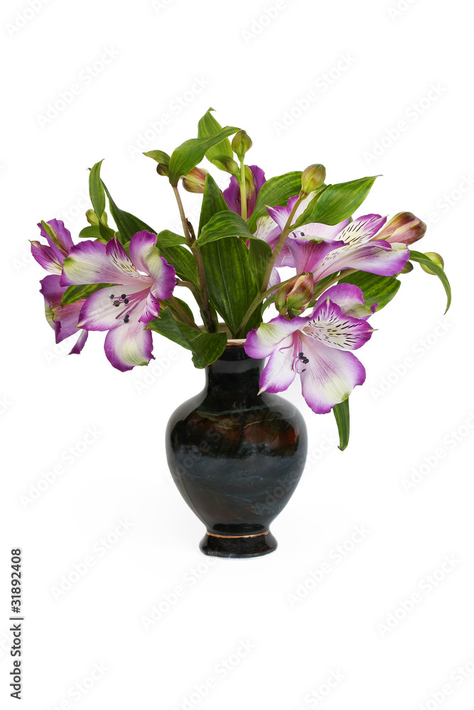 Vase of flowers Vase of flowers
