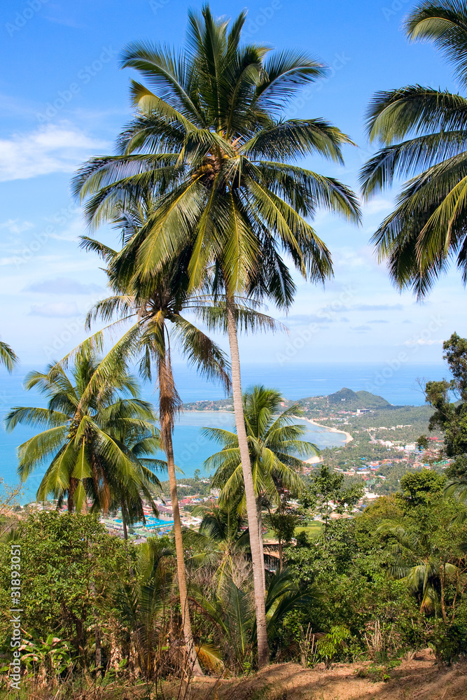 View of the island Samui , Thailand