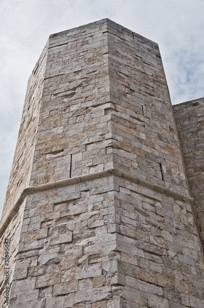 Detail of Castel del Monte. Andria. Apulia. Detail of Castel del Monte. Andria. Apulia.
