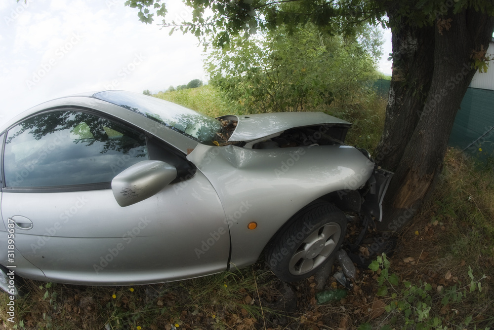 Car against a Tree, Italy