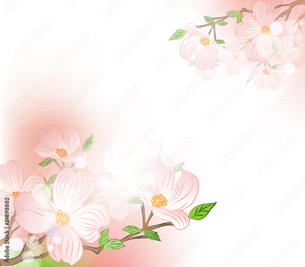 background with spring flowers and blur