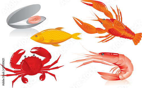 seafood
