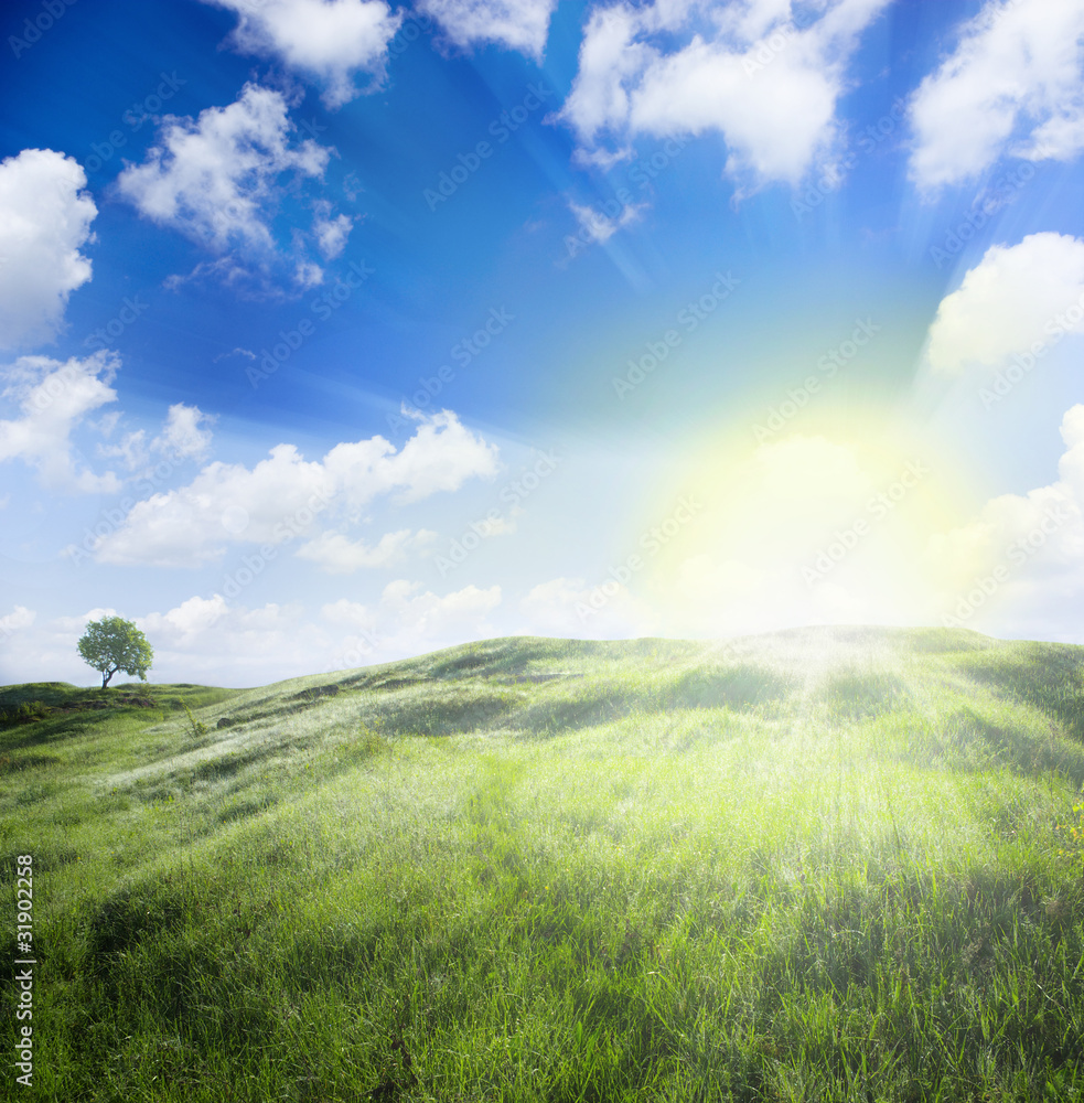 Obraz premium landscape