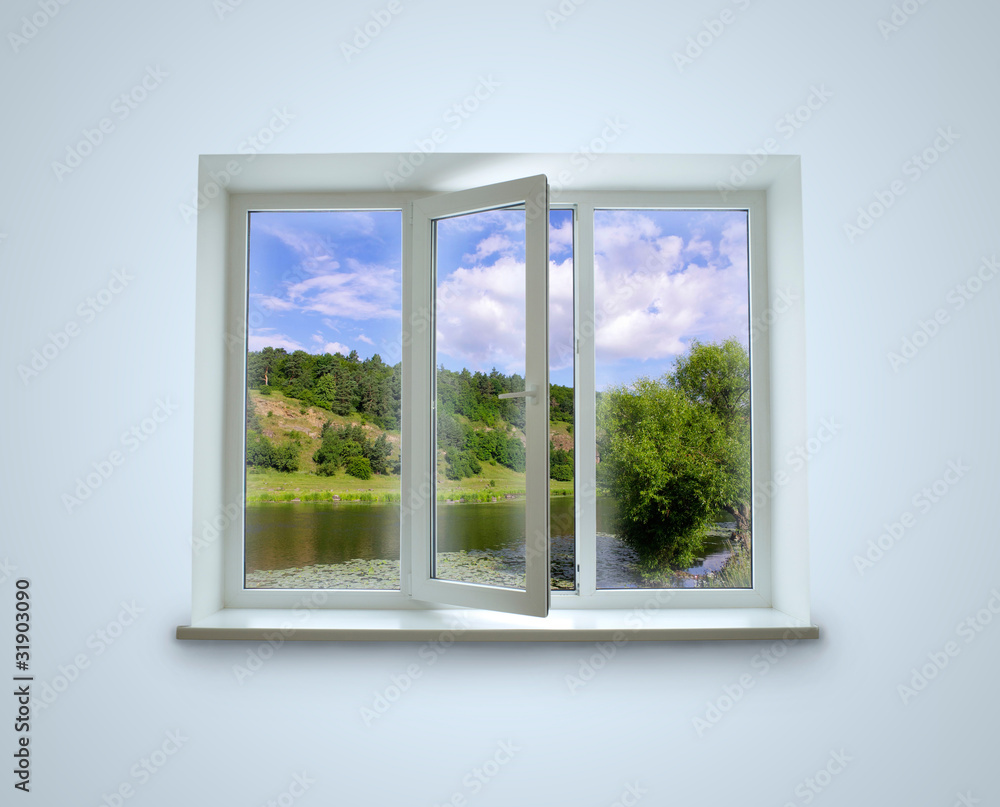 Fototapeta premium Window