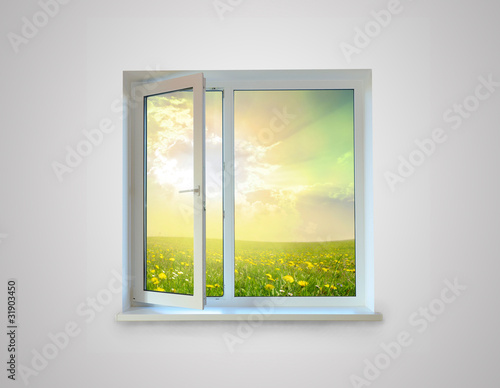 Window