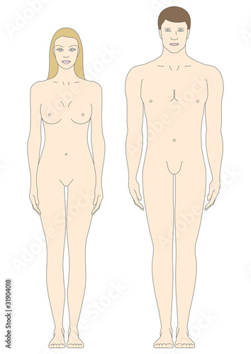 male and female body templates