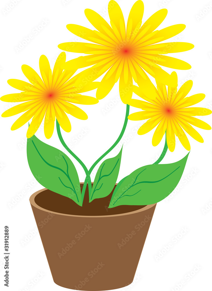 three yellow of Flowers