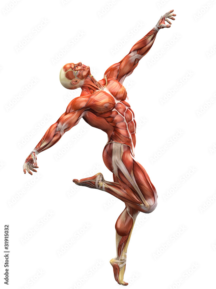 muscle man dance the dance muscle man dance the dance