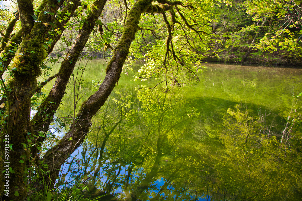 Fototapeta premium Reflection