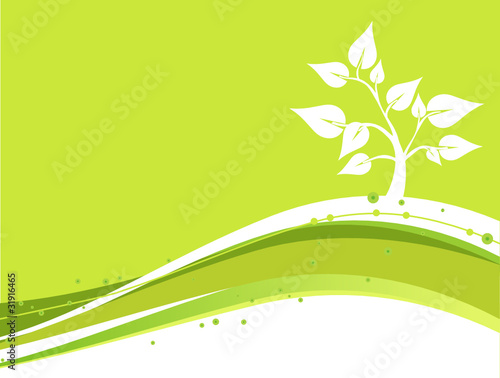 FONDO ECOLOGICO
