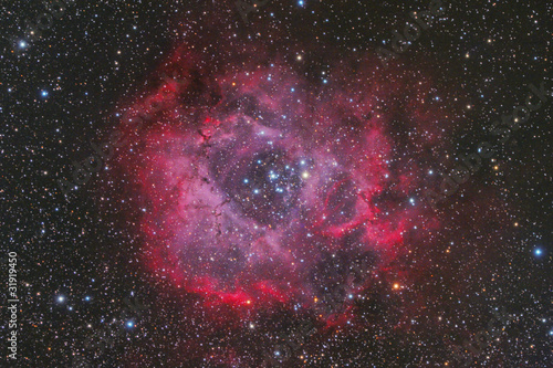 Rosette Nebula #31919450