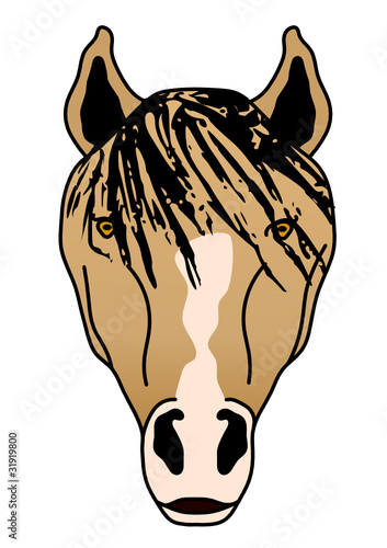 Pferd