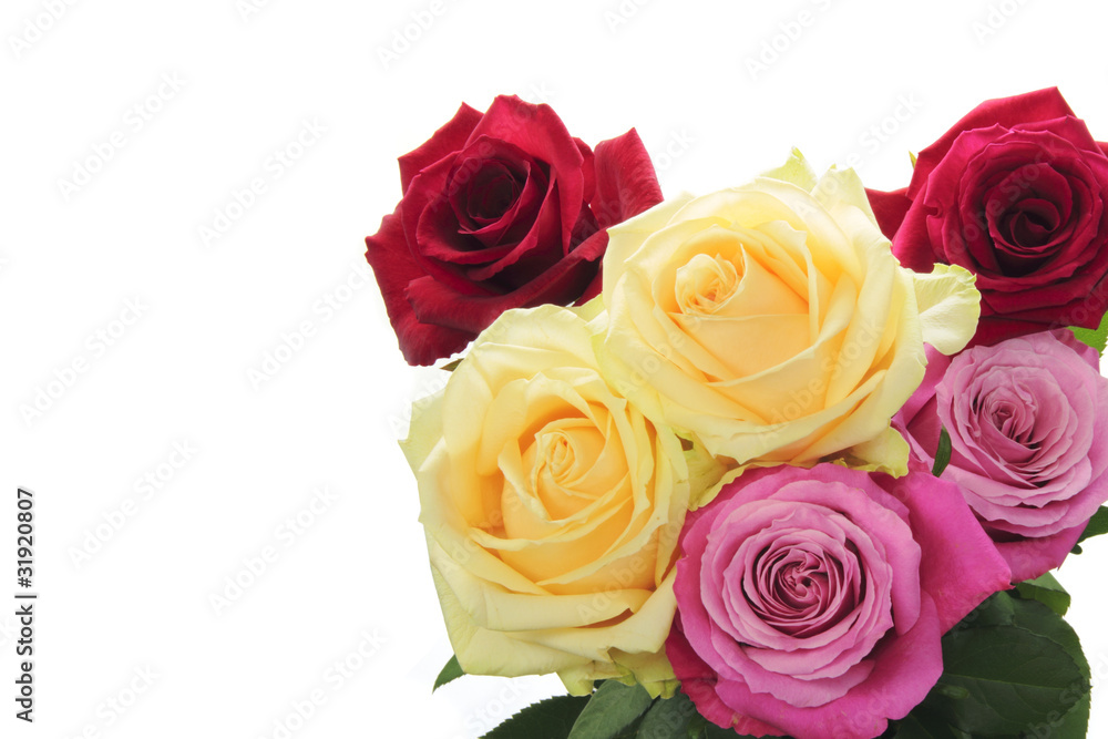 Rose bouquet Rose bouquet