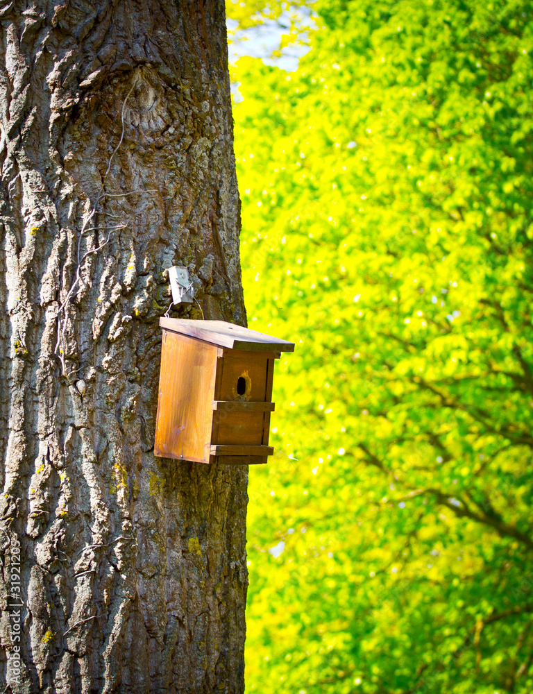 Bird House Bird House