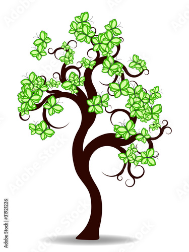 Butterfly tree