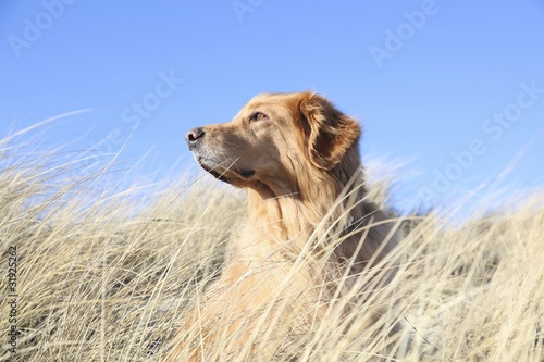 Fototapeta Naklejka Na Ścianę i Meble -  Strand / Meer / Wasser