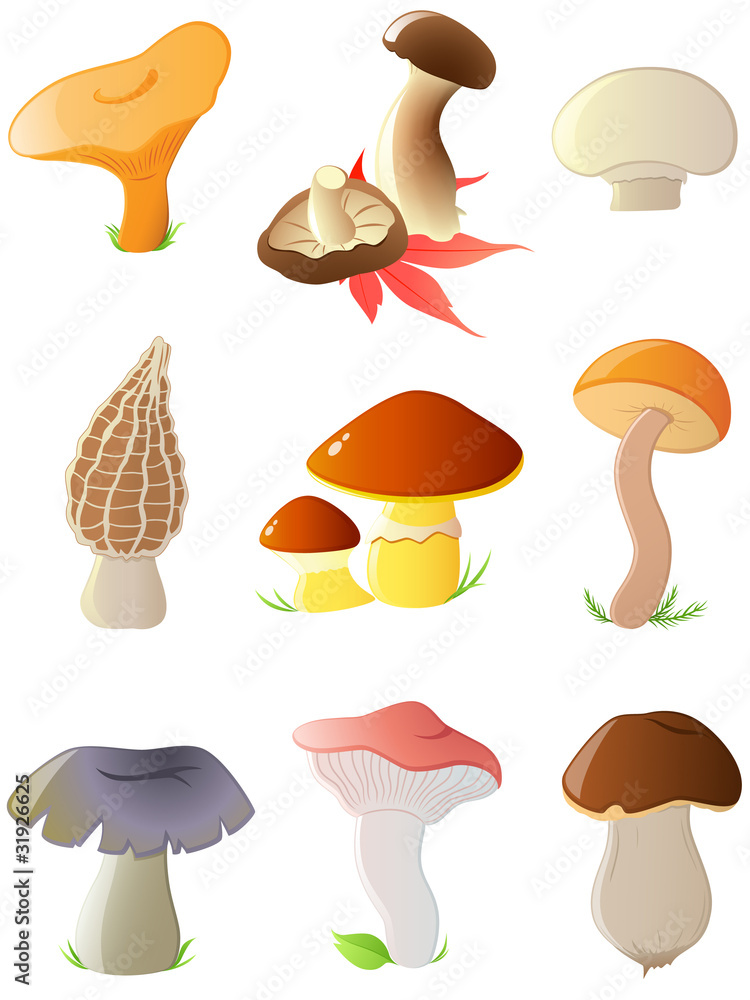 glossy forest mushrooms glossy forest mushrooms