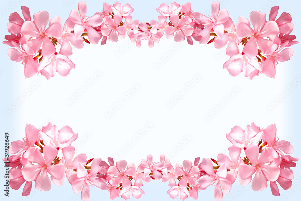 pink flower frame with copy space