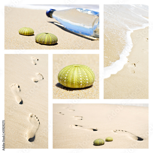 Collage of beach scenes with footprints and sea urchin shells