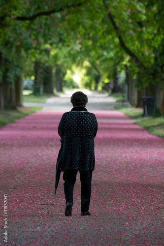 Spaziergang zur Kastanienblüte photo