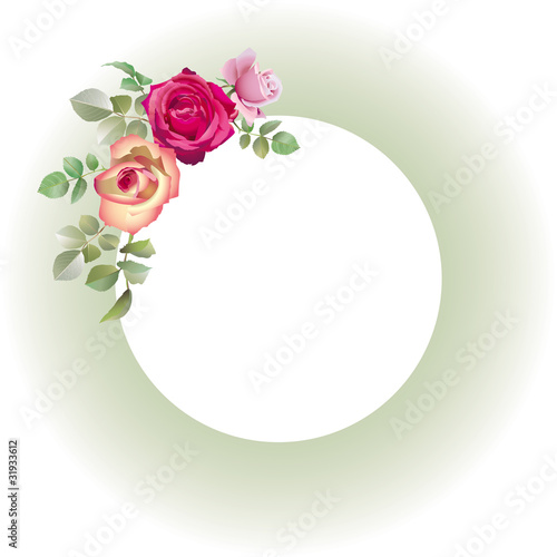 Cadre vert amande fleuri de roses