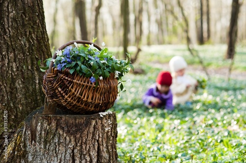 Basket with spring flowers photo