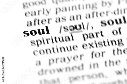 soul (the dictionary project)