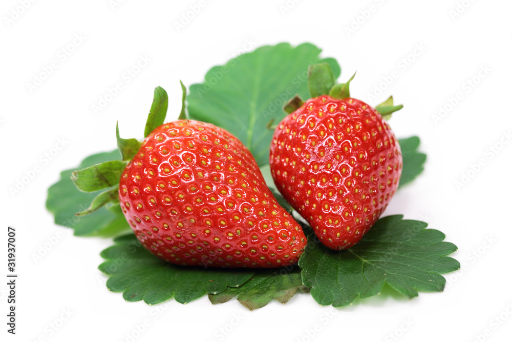 Erdbeeren Erdbeeren