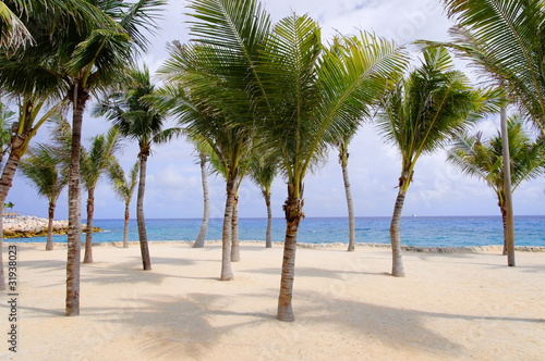 Palm trees on tropical beach © Helen Filatova
