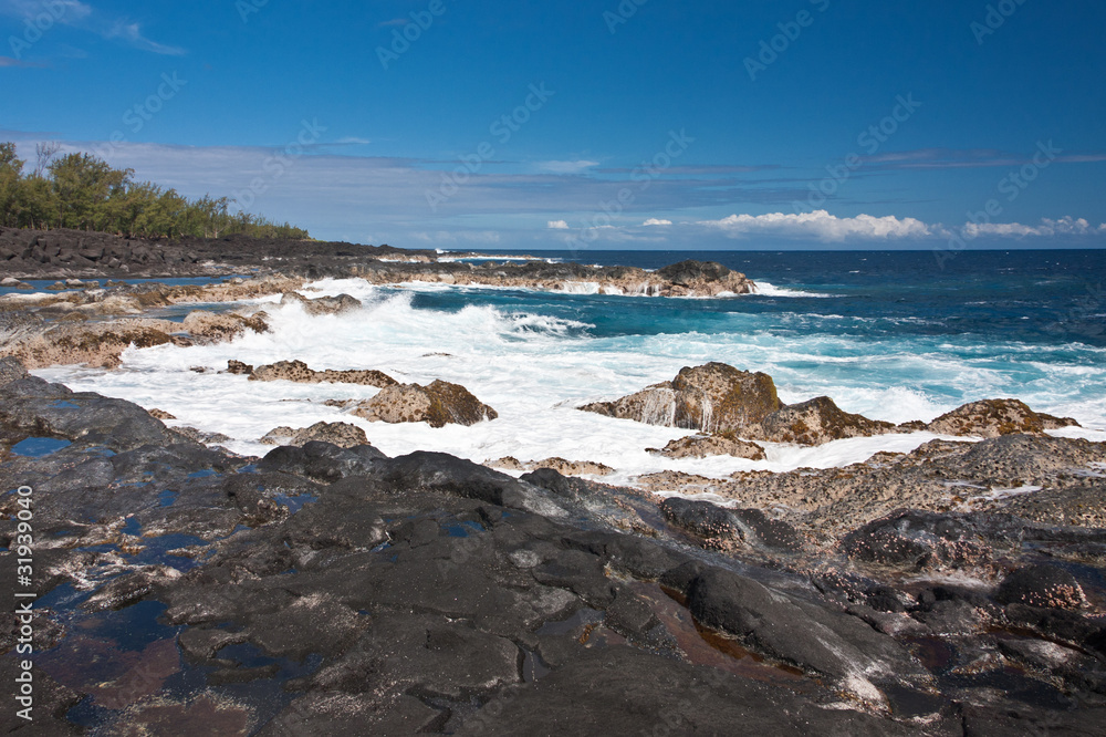 côte rocheuse du sud sauvage, île de la Réunion