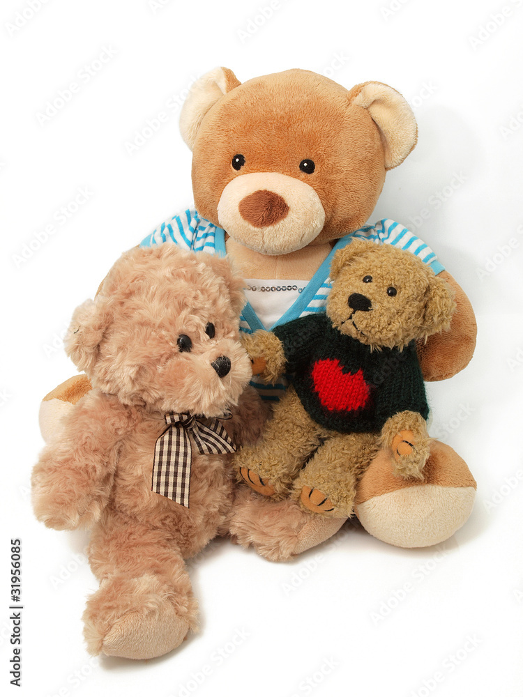 Fototapeta premium Teddy Bears on the white background