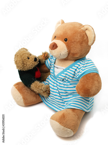 Teddy Bears on the white background