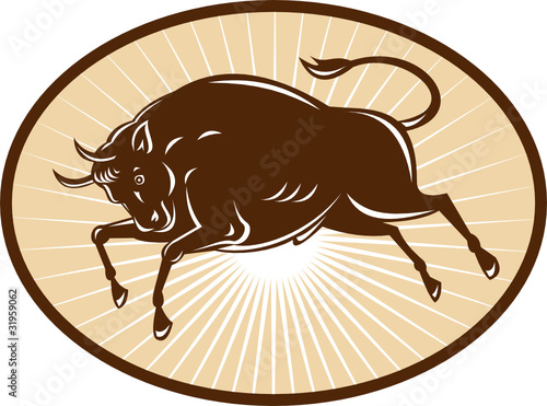 texas longhorn steer bll attacking