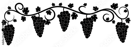 Vino