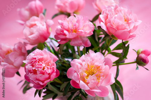 pink peony