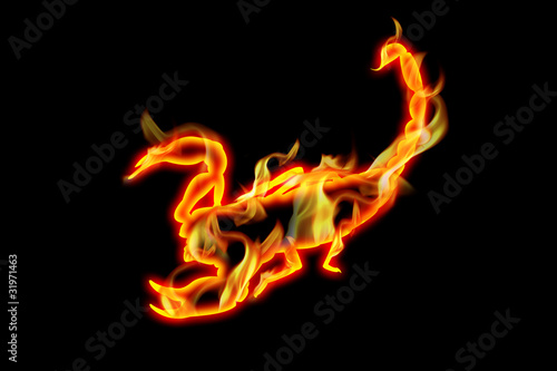 fiery scorpion © grafik_art
