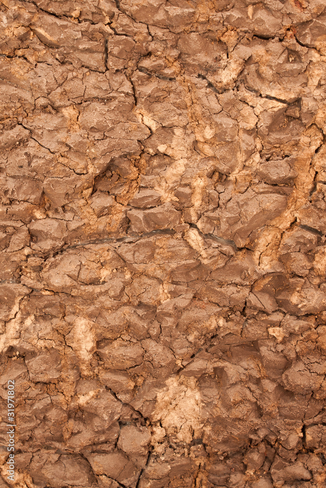 drought soil drought soil