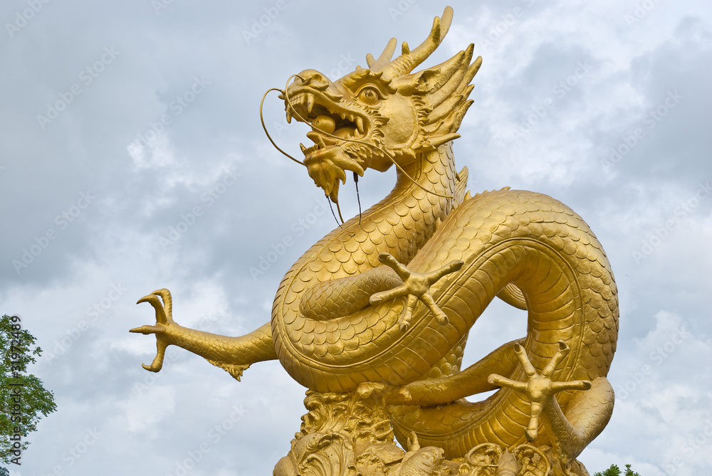gold dragon gold dragon