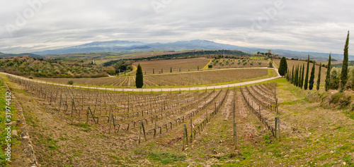 Tuscany vineyard.