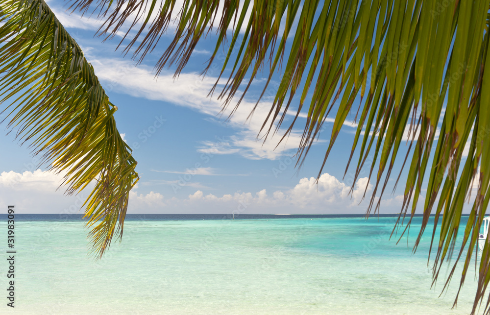 Naklejka premium Tropical beach