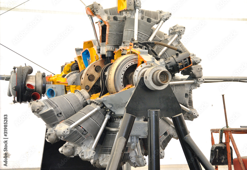 Obraz premium Aircraft Engine
