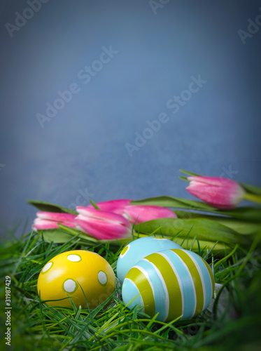 Easter eggs in green grass and tulips with copy space and blue b