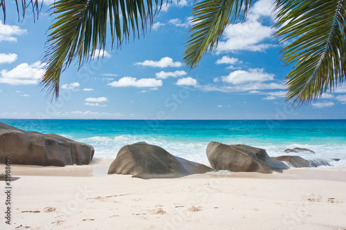 plage des Seychelles sous les palmes des cocotiers